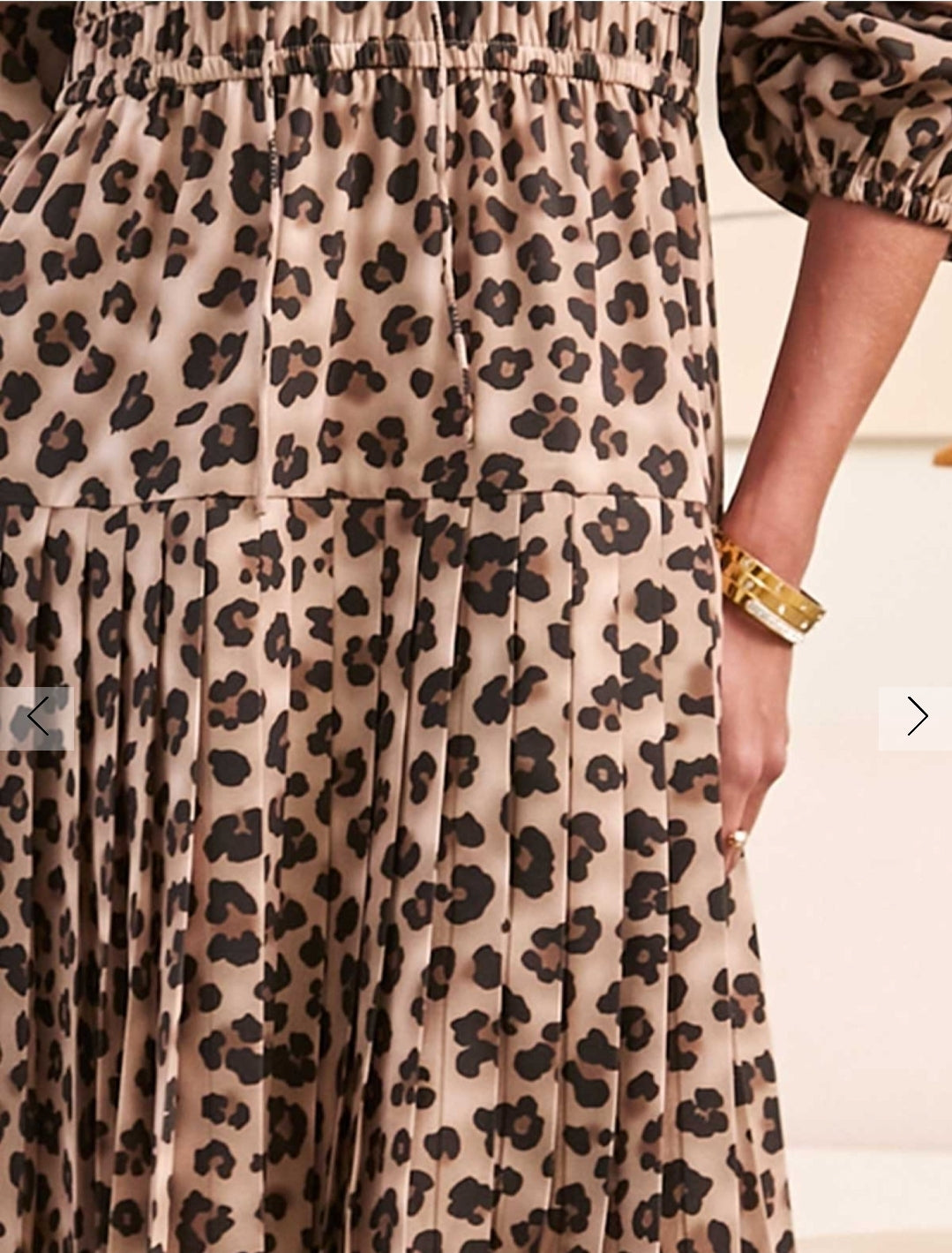 Leopard Print Mini Dress