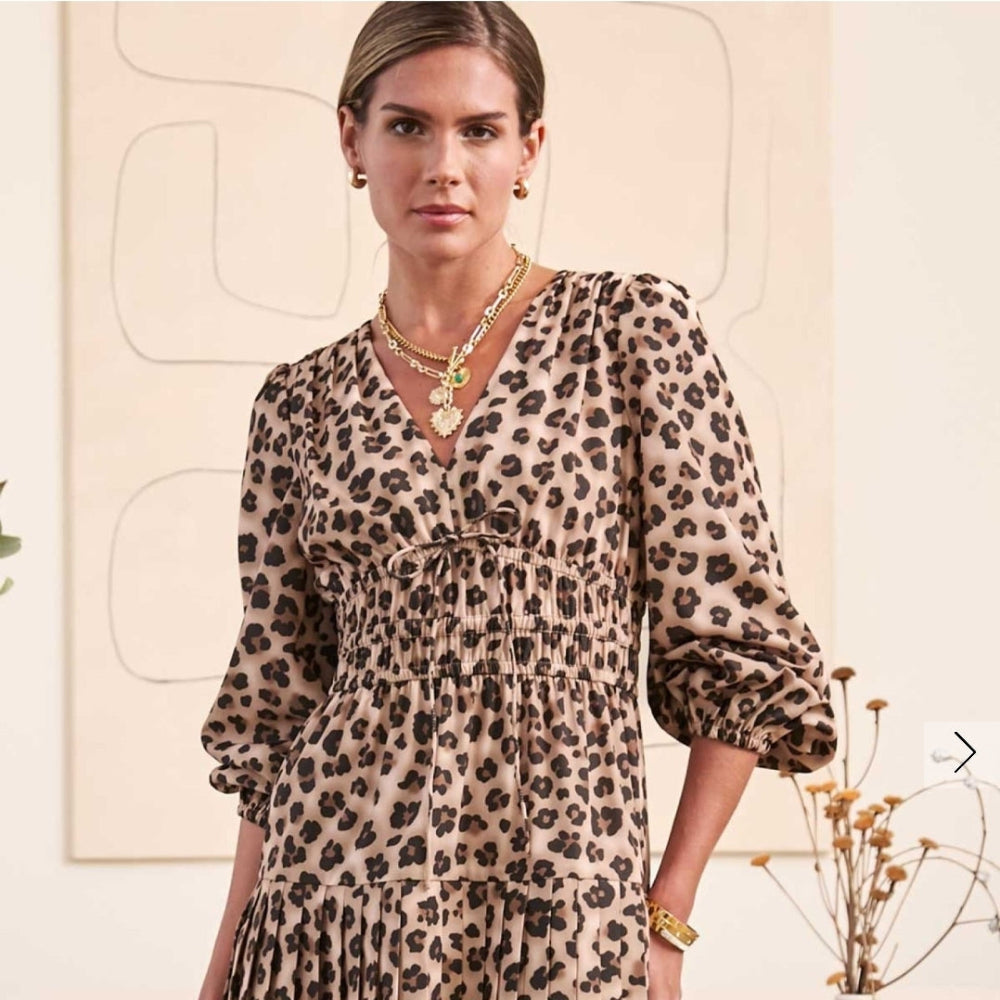 Leopard Print Mini Dress