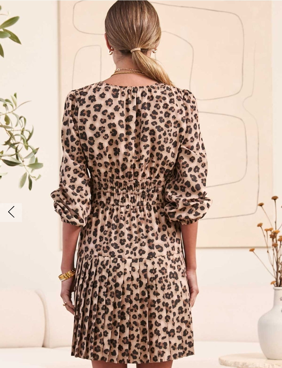 Leopard Print Mini Dress